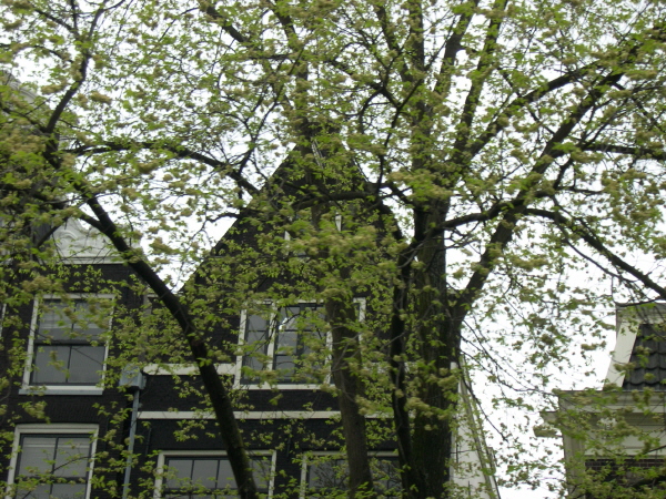 Amsterdam_2008_18