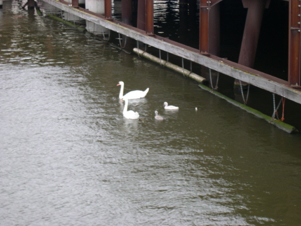 Amsterdam_2008_28