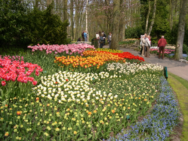 Keukenhof_2008_002