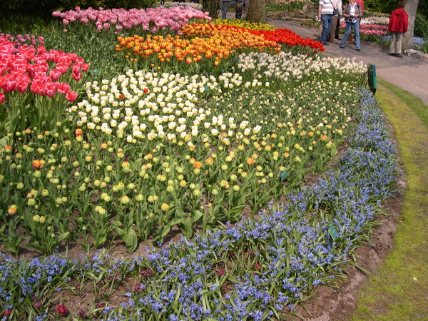 Keukenhof_2008_003