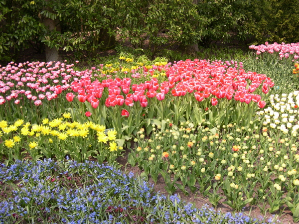 Keukenhof_2008_004