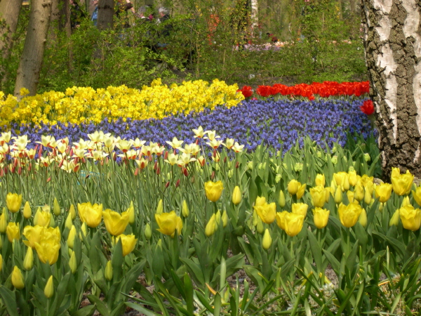 Keukenhof_2008_009