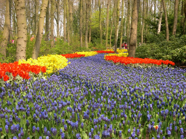 Keukenhof_2008_010