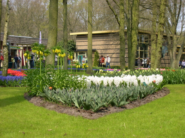 Keukenhof_2008_011