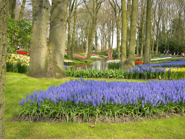 Keukenhof_2008_013