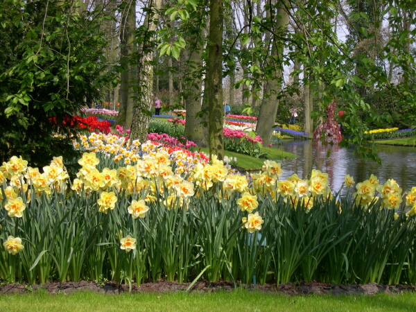 Keukenhof_2008_014