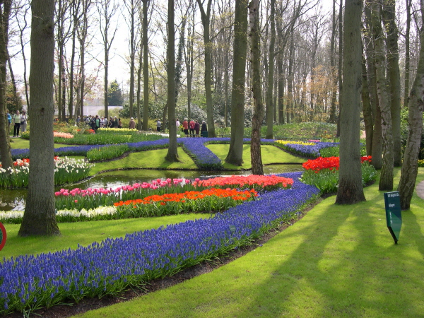 Keukenhof_2008_016