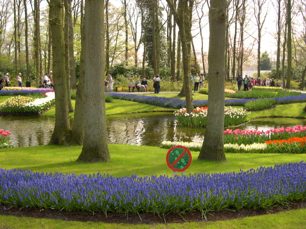 Keukenhof_2008_017