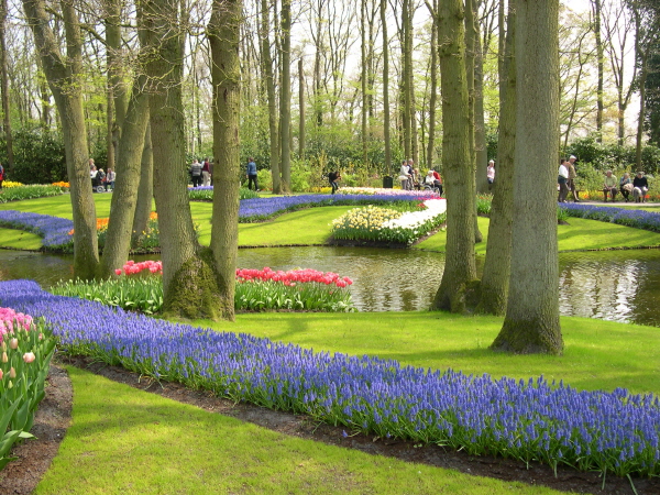 Keukenhof_2008_018