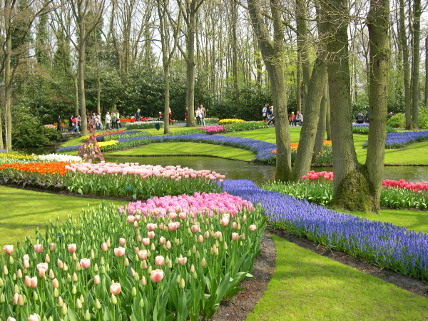 Keukenhof_2008_019