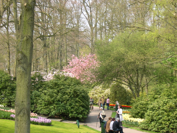 Keukenhof_2008_032