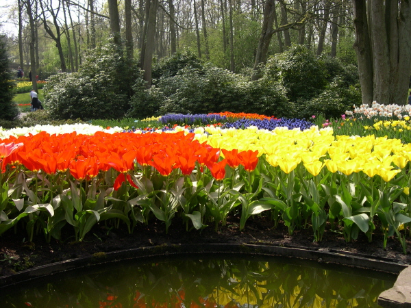 Keukenhof_2008_037