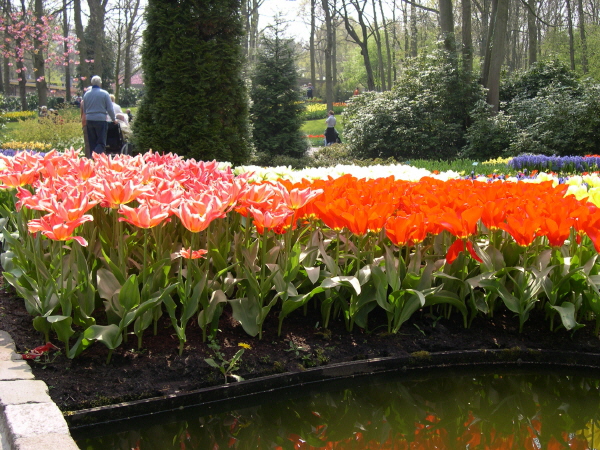 Keukenhof_2008_038