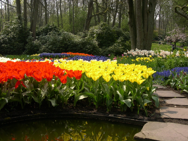 Keukenhof_2008_039