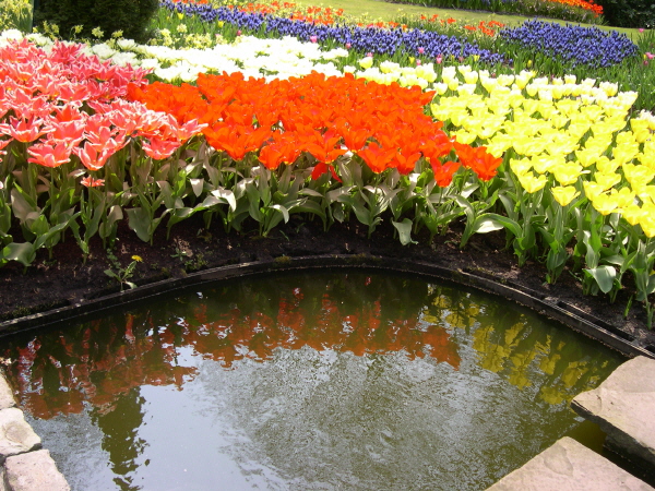 Keukenhof_2008_040