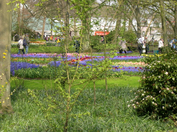 Keukenhof_2008_045