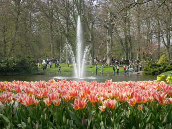 Keukenhof_2008_050