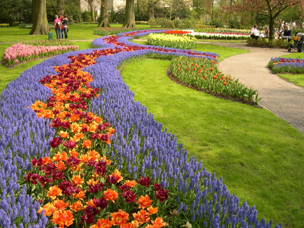 Keukenhof_2008_055