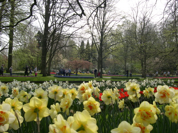 Keukenhof_2008_066