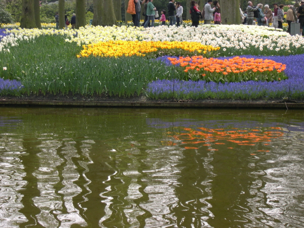 Keukenhof_2008_068