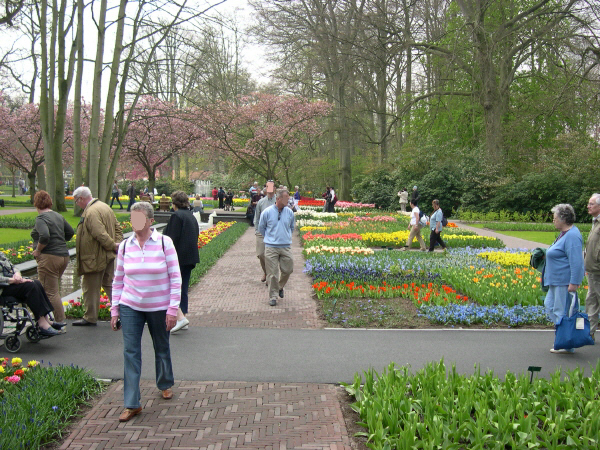 Keukenhof_2008_072