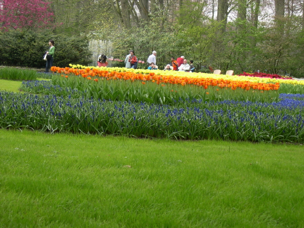 Keukenhof_2008_078