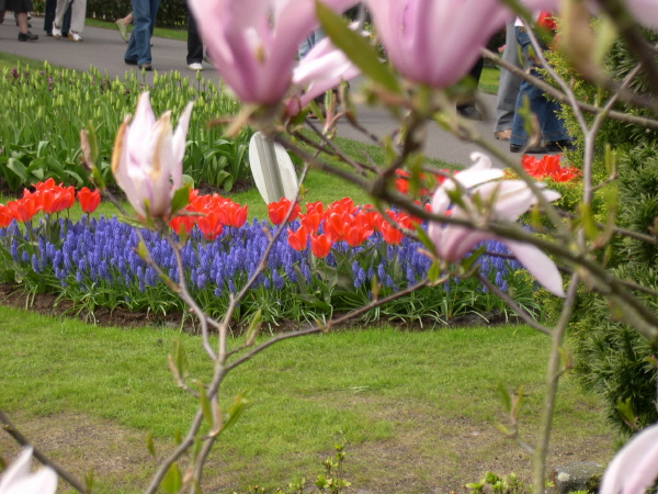 Keukenhof_2008_083