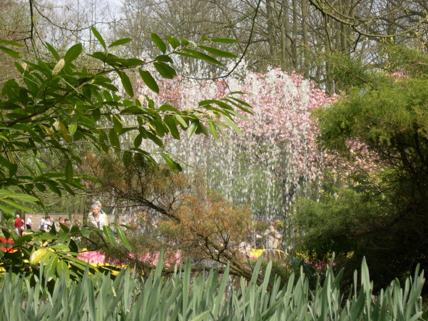 Keukenhof_2008_084