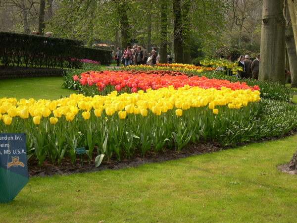 Keukenhof_2008_085