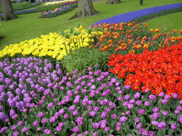 Keukenhof_2008_088