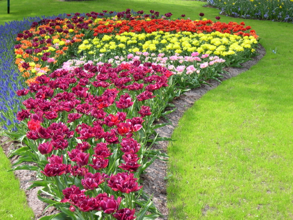 Keukenhof_2008_093