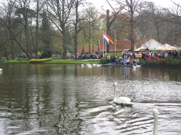 Keukenhof_2008_097