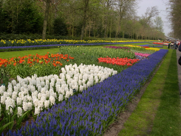 Keukenhof_2008_103