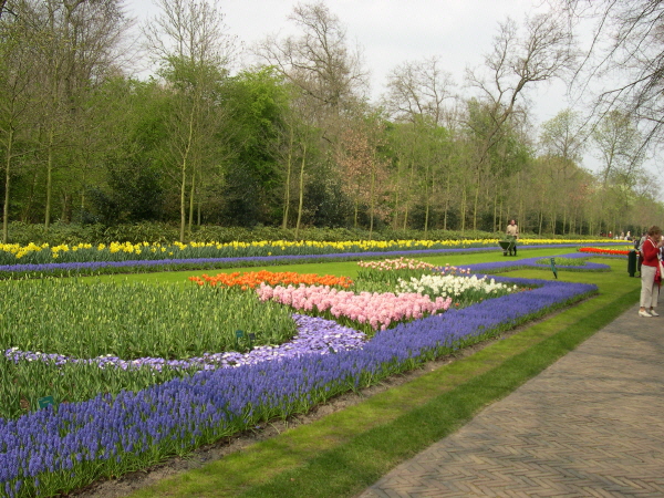 Keukenhof_2008_104