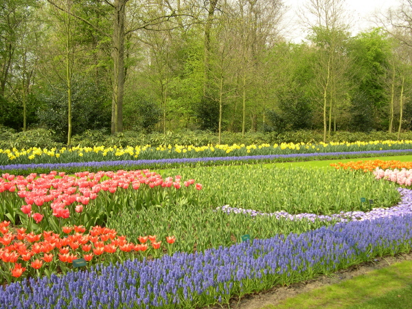 Keukenhof_2008_105