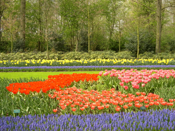 Keukenhof_2008_106