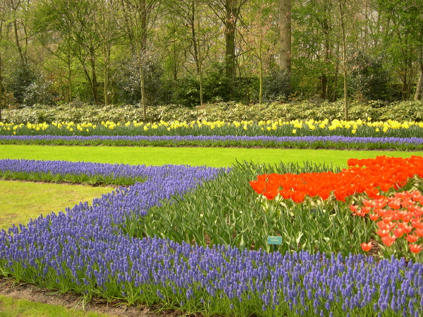 Keukenhof_2008_107