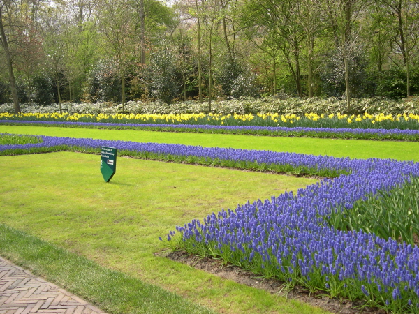 Keukenhof_2008_108