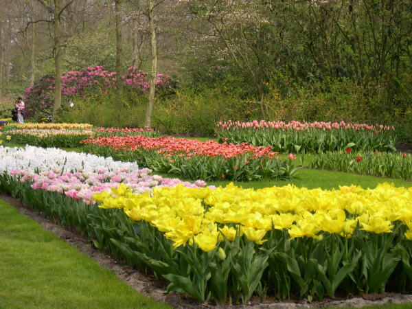 Keukenhof_2008_110