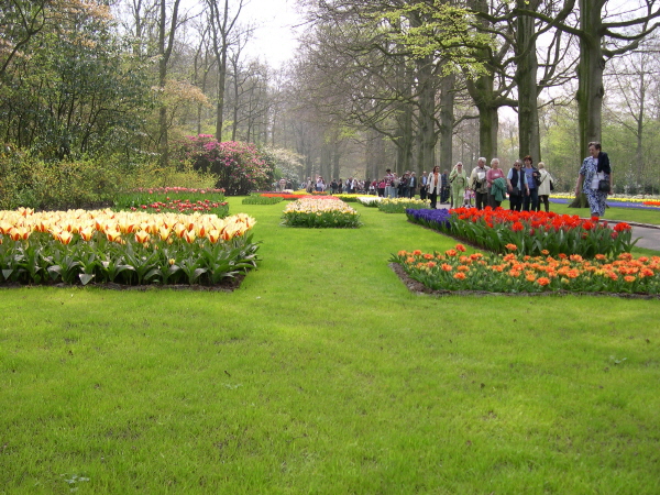 Keukenhof_2008_114