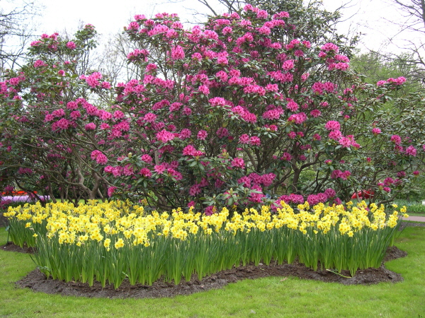 Keukenhof_2008_120