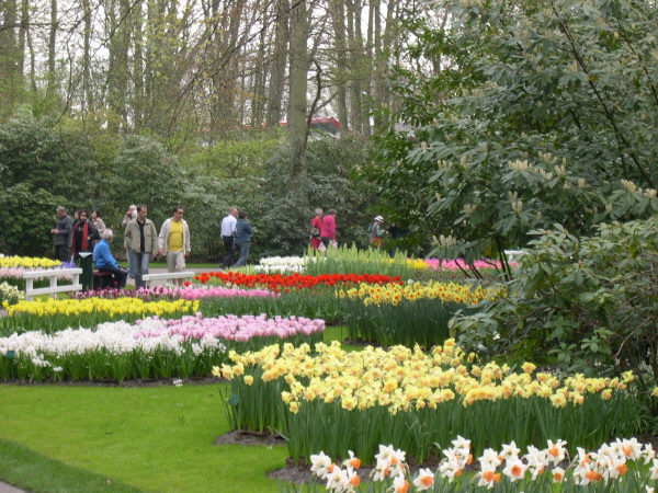 Keukenhof_2008_123