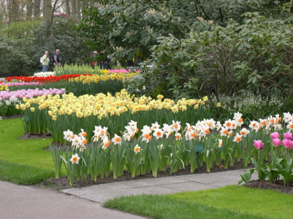 Keukenhof_2008_124