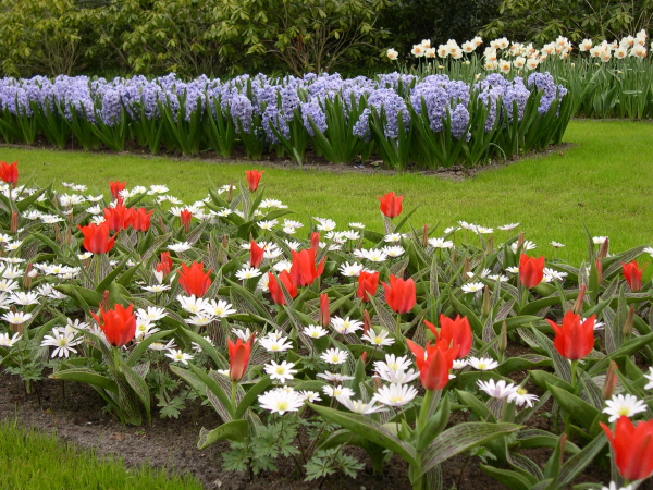 Keukenhof_2008_128
