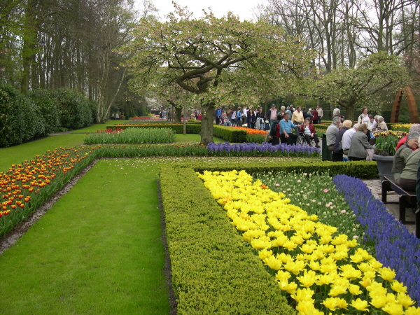 Keukenhof_2008_134