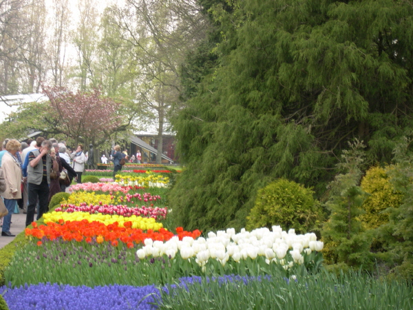 Keukenhof_2008_143