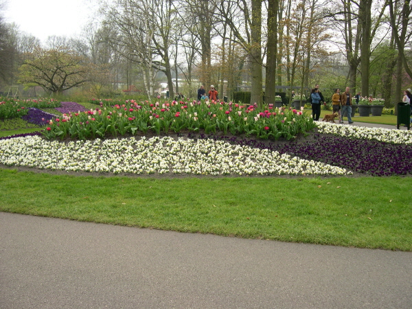 Keukenhof_2008_150