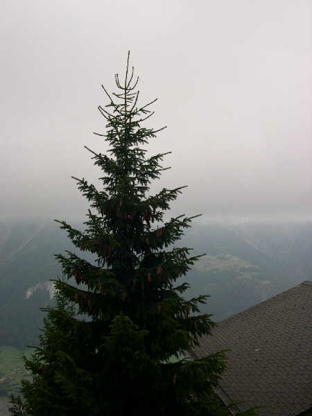 First morning – view from the balcony of appartment Nobile B12 — Bettmeralp