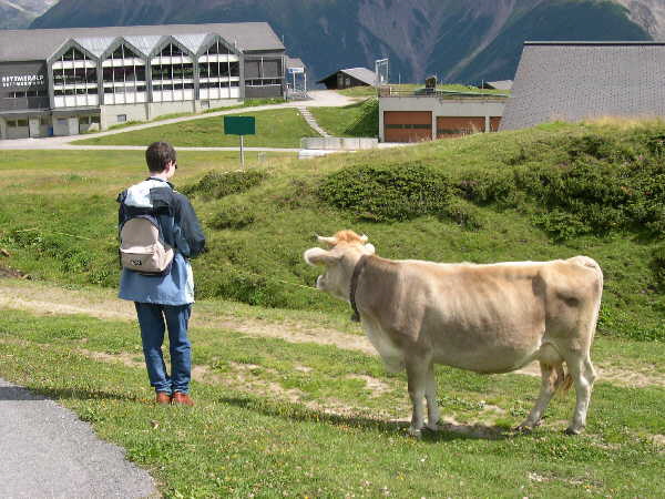 Afternoon walk near Bettmersee — Bettmeralp