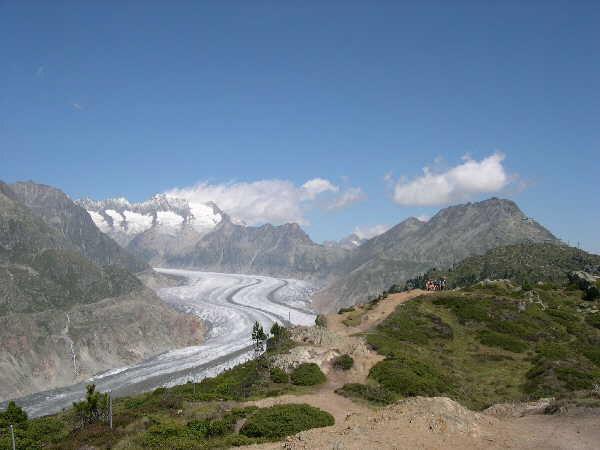 The Aletsch glacier from Hofluh